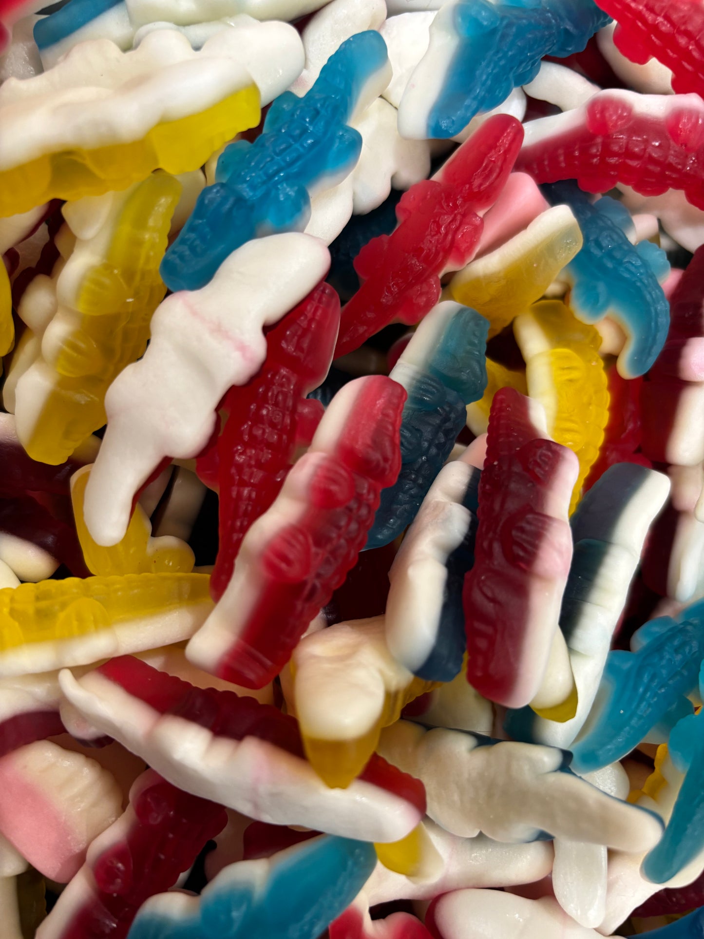 Jelly Crocodiles