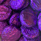 Black Cherry Creams 250g